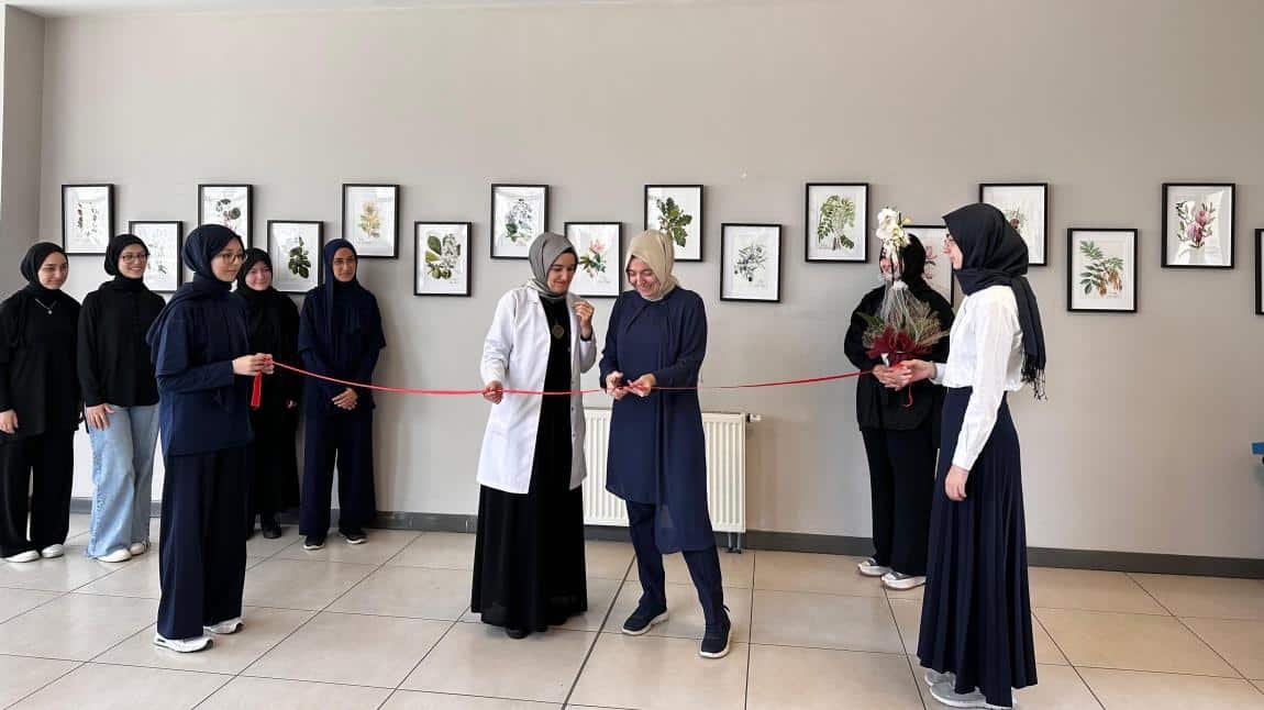 Kasgihl Sanat ve Tasarım Kulübü Öğrencileri “istanbul’un Ağaçları” Suluboya Sergisinin Açılışını Yaptı